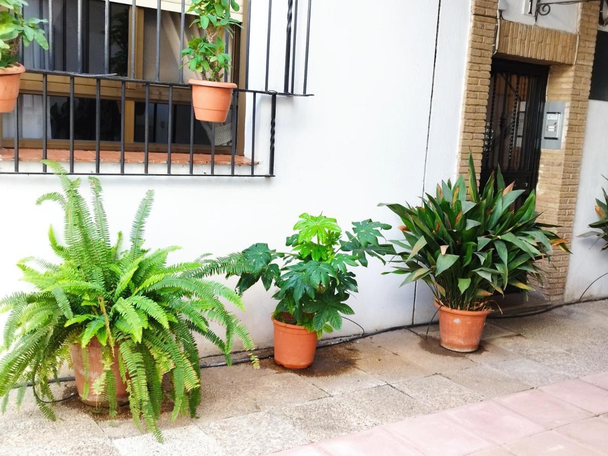 Apartamento El Balcon De San Pablo Córdoba Exterior foto