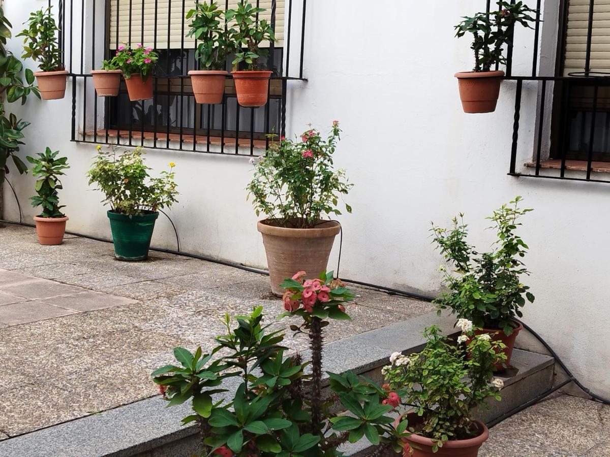 Apartamento El Balcon De San Pablo Córdoba Exterior foto